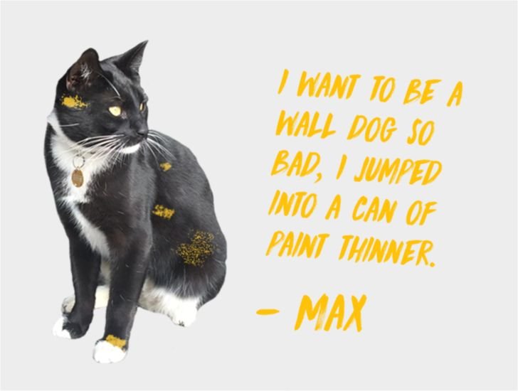 1Max.jpg