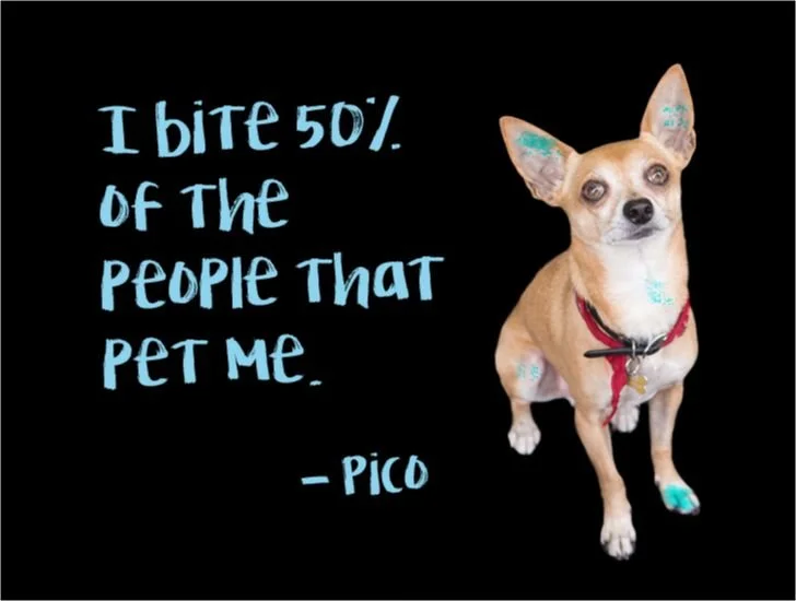 1Pico.jpg