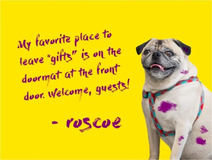 1Roscoe.jpg