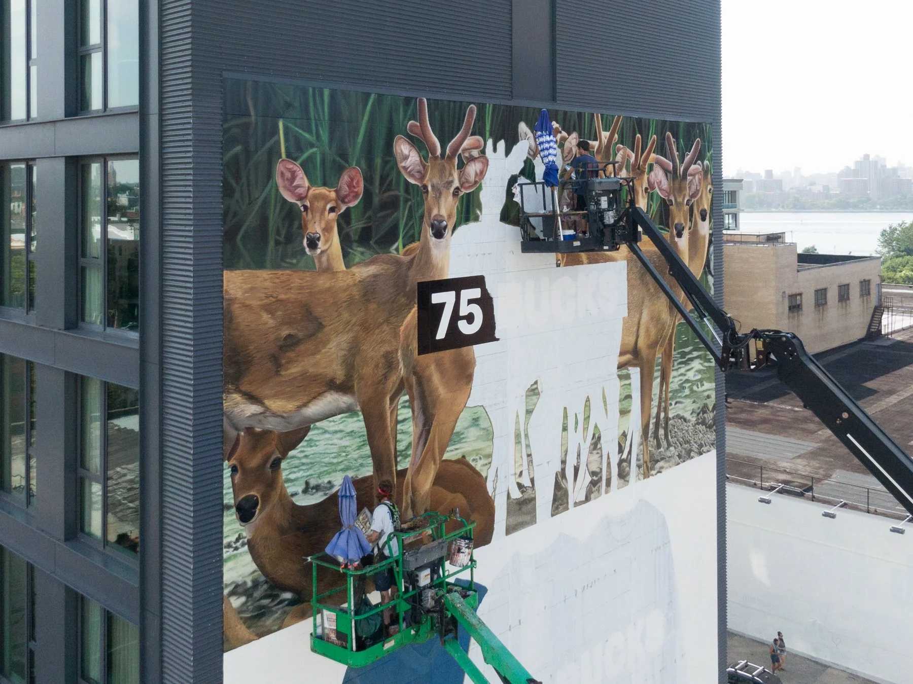b238_naadamprogress-lr-30-of-36.jpg