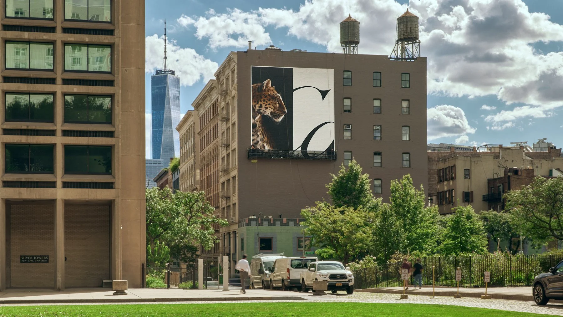 1150 Cartier Progress Auteur-3939_LR.jpg