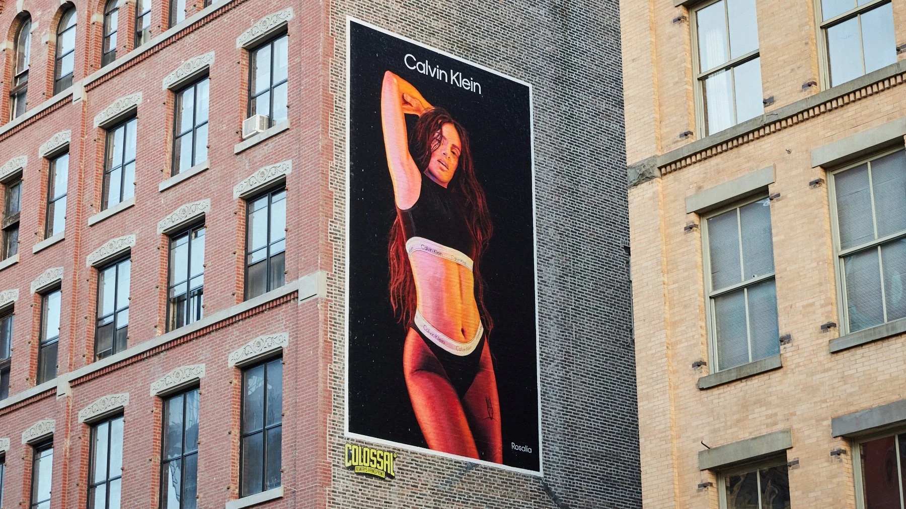 1165 Calvin Klein Complete-1817_LR.jpg