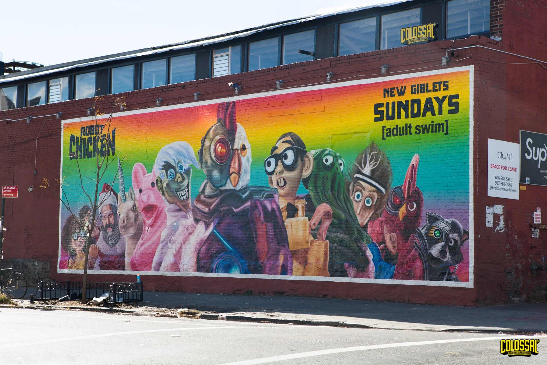 B149_AdultSwimComplete-LR-2.jpg
