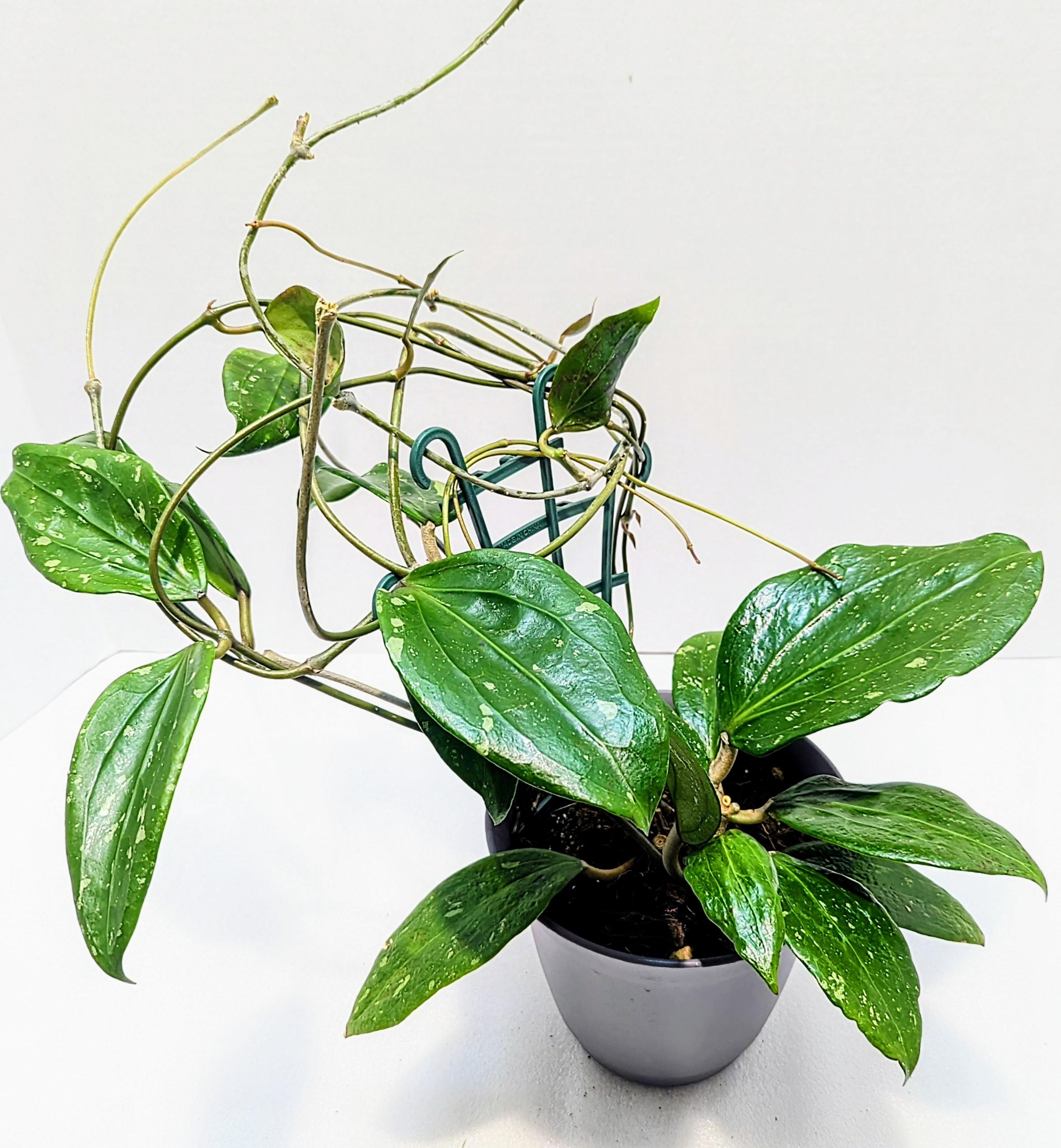 https://i.etsystatic.com/28792645/r/il/0a96ea/6486460865/il_fullxfull.6486460865_p03u.jpg