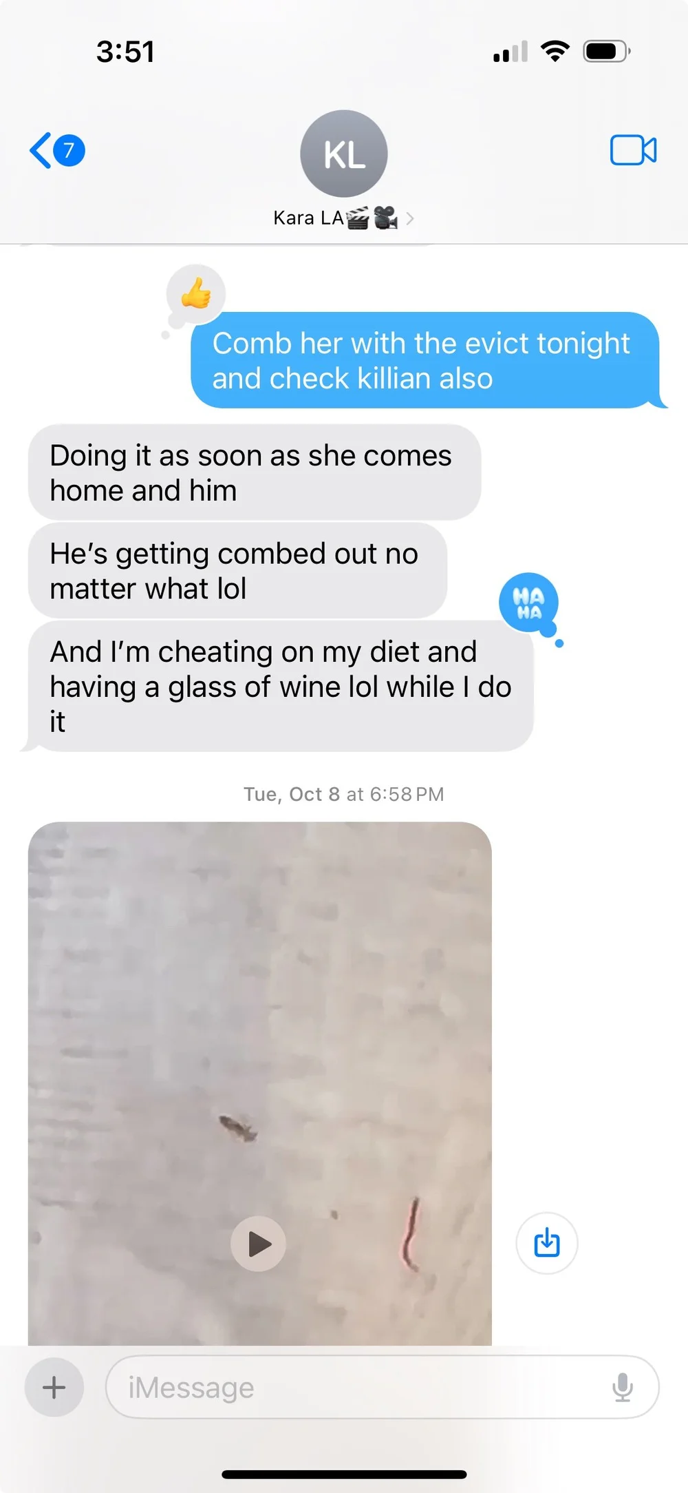 LICE TEXTS BETWEEN MOLLY AND KARA
