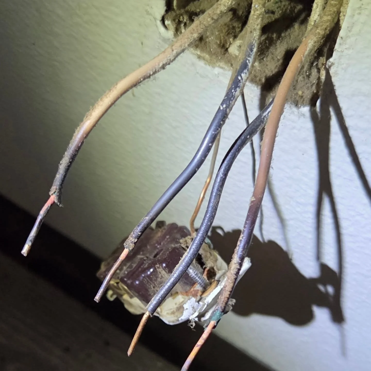 Many receptacles have a connection point requiring only that a wire be stripped to the correct length and pushed in to a hole in the back. These "backstab" connections are notorious for failing, and the results of just such a failure can be