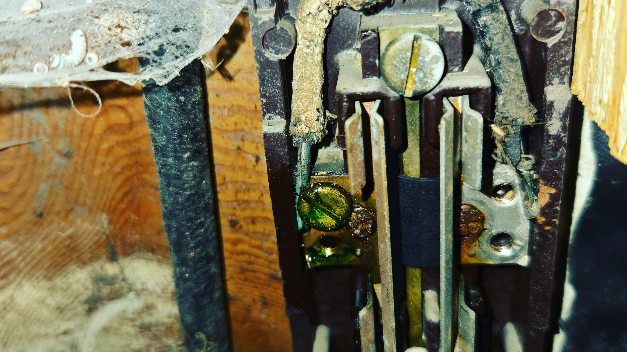 Occasionally, a chemical reaction takes place in older cables between the PVC insulation and the copper which releases a green goo. This is a conductive substance and has been known in extreme cases to cause short-circuits and fires, but this is a pr