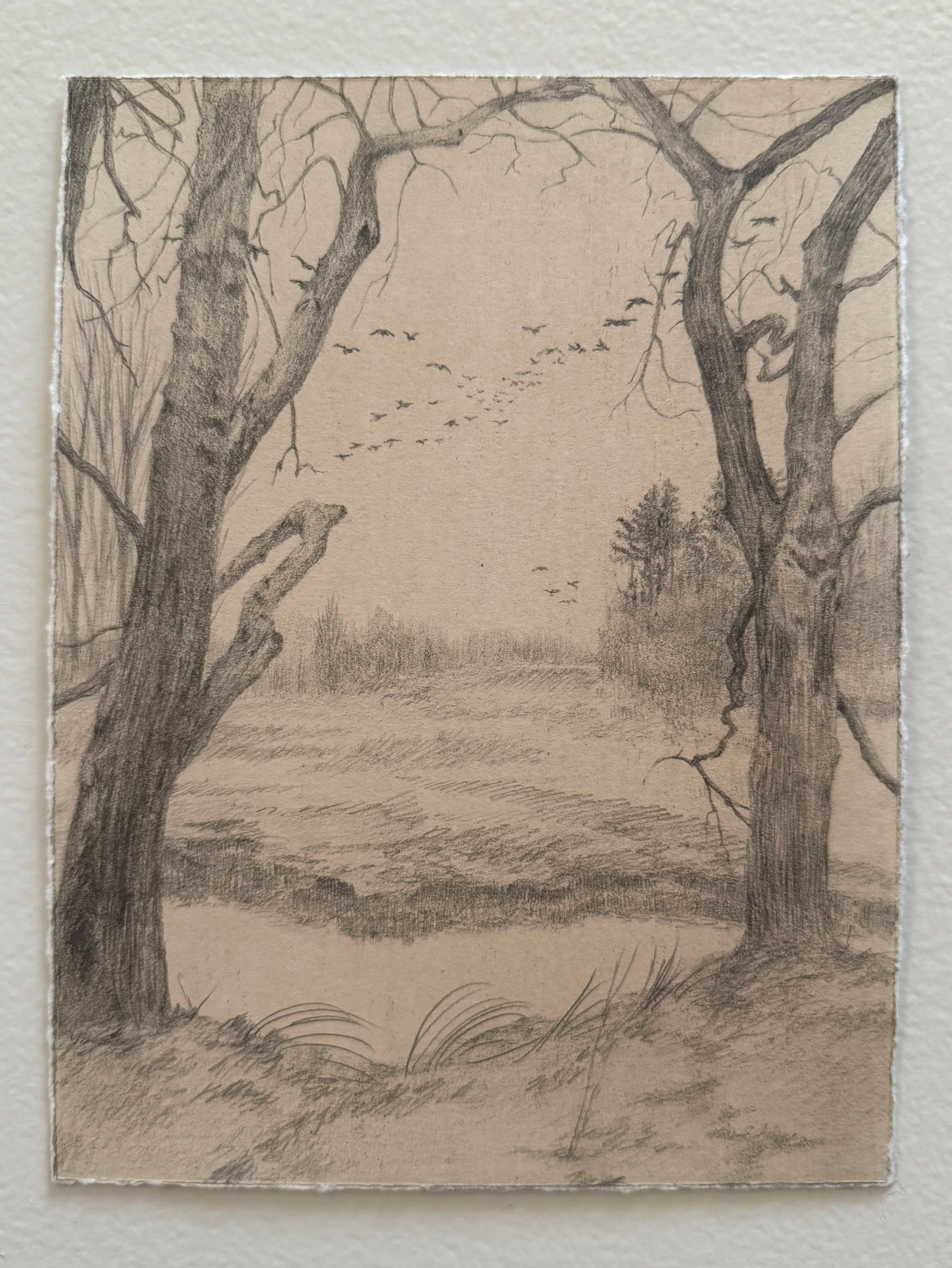 Passage   2025 | Walnut ink and graphite on paper  
8x6"