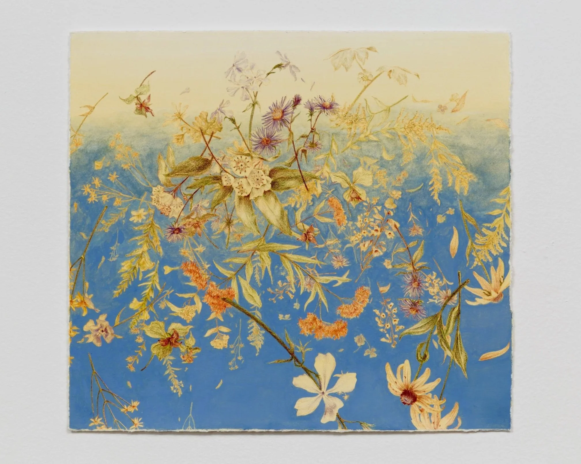 Fling   2026 | Colored pencil and gouache on paper  
9x10"