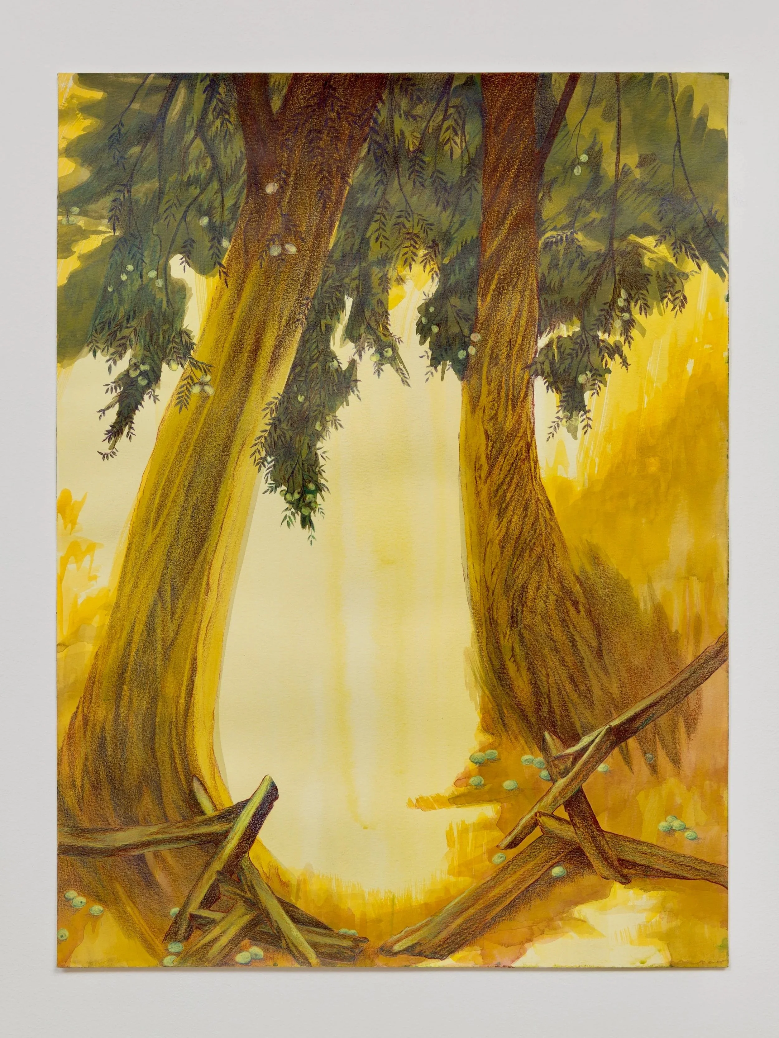 Mast Year   2025 | Watercolor and colored pencil on paper  
24 x 18"