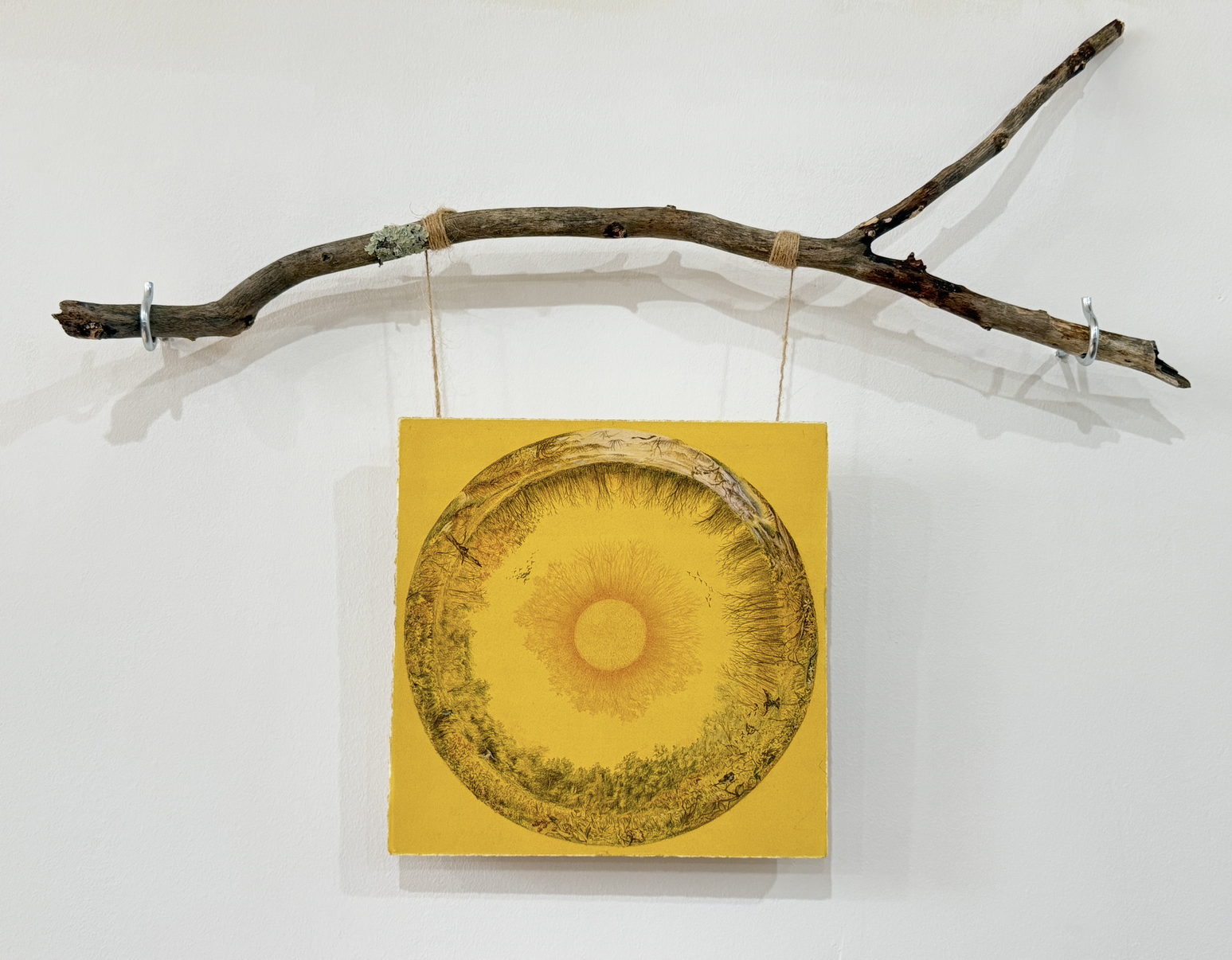 Gladly and Lightly Again   2026 | Colored pencil on paper; branch, metal hooks, twine  
9x9" (16x22")