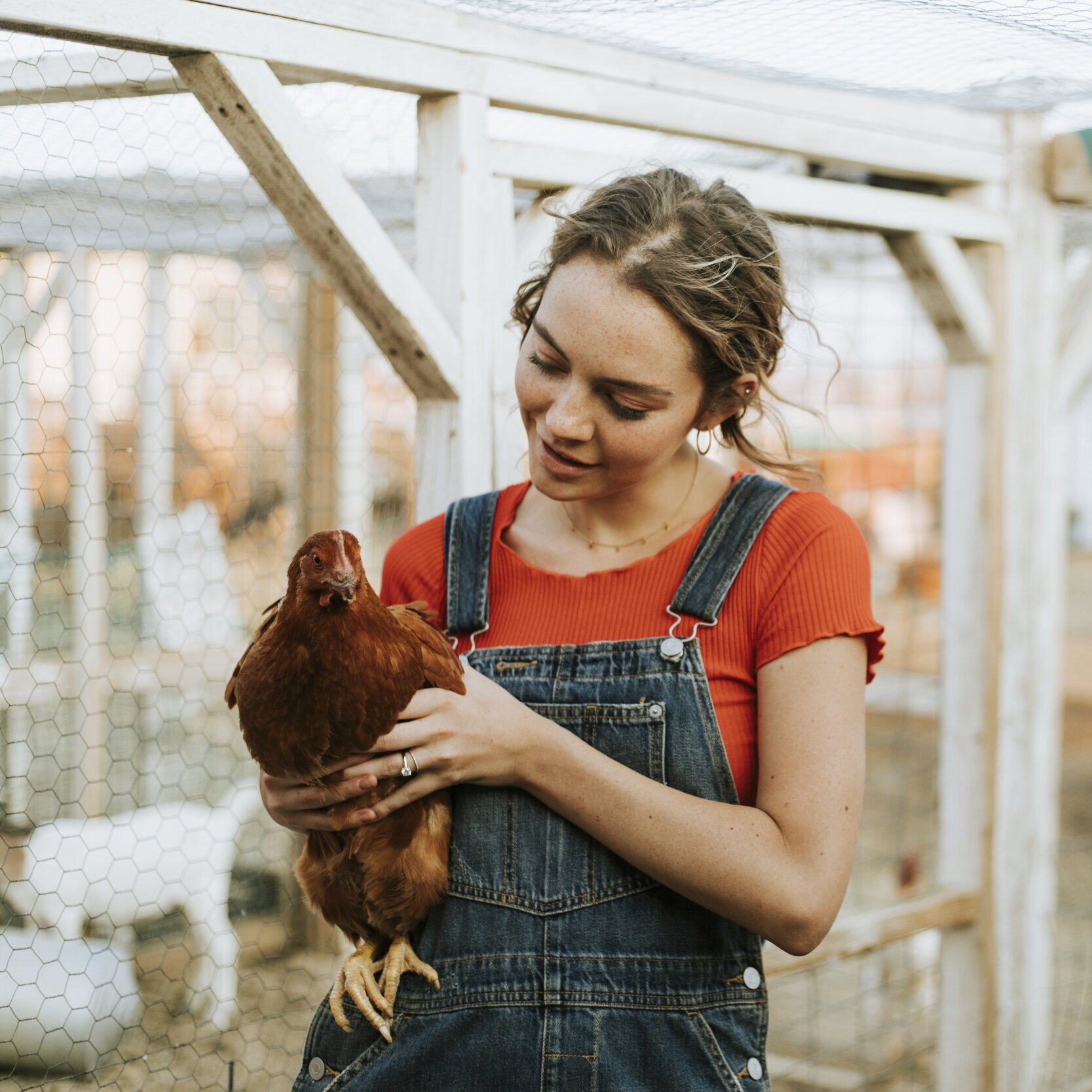 Female_Farmer_Holding_Chicken.jpg