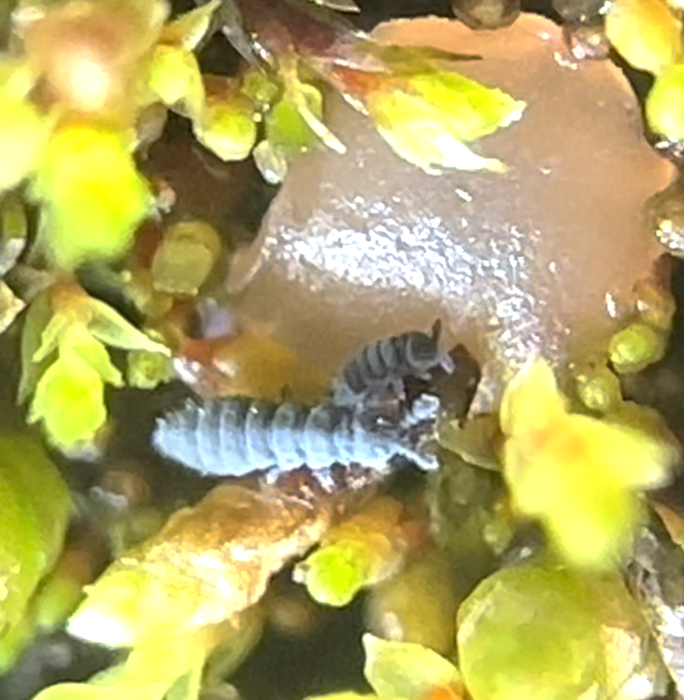 Screenshot 2024-09-11 at 3.27.00 PM.png