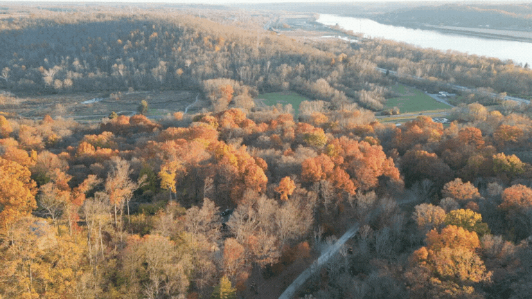 mike-sanchez-drone-autumn.gif