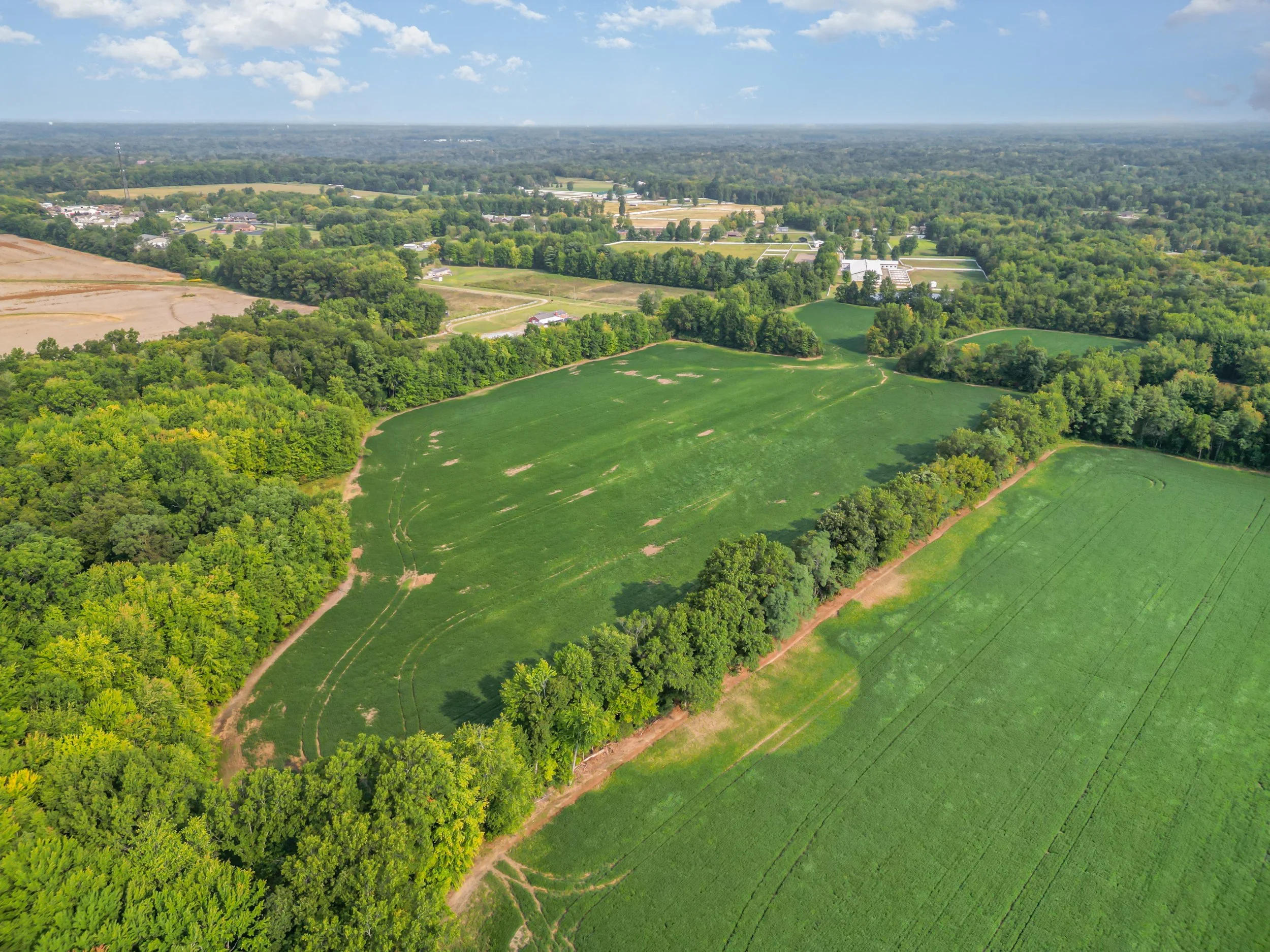 DJI_0890-Edit.jpg