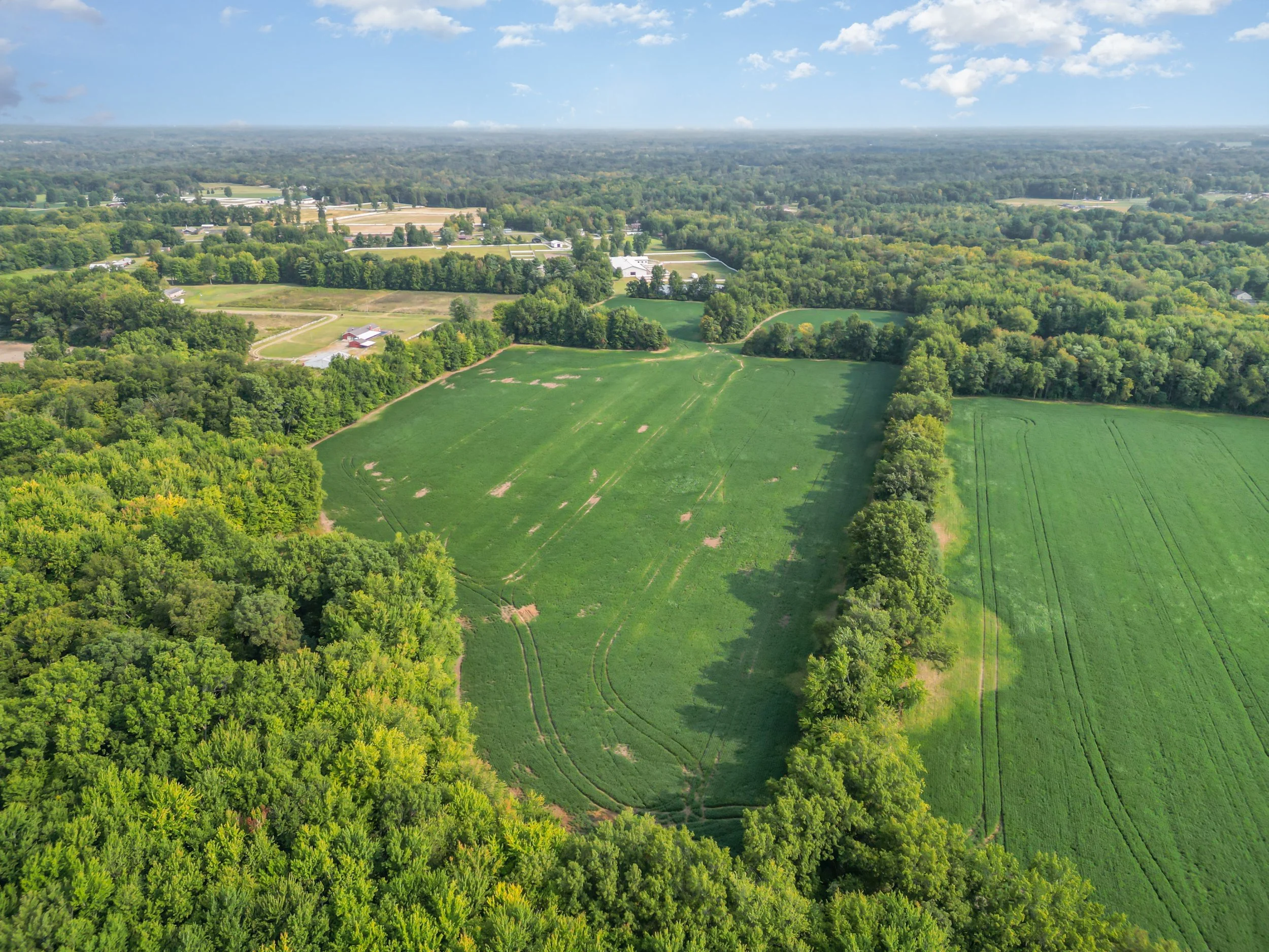 DJI_0889-Edit.jpg