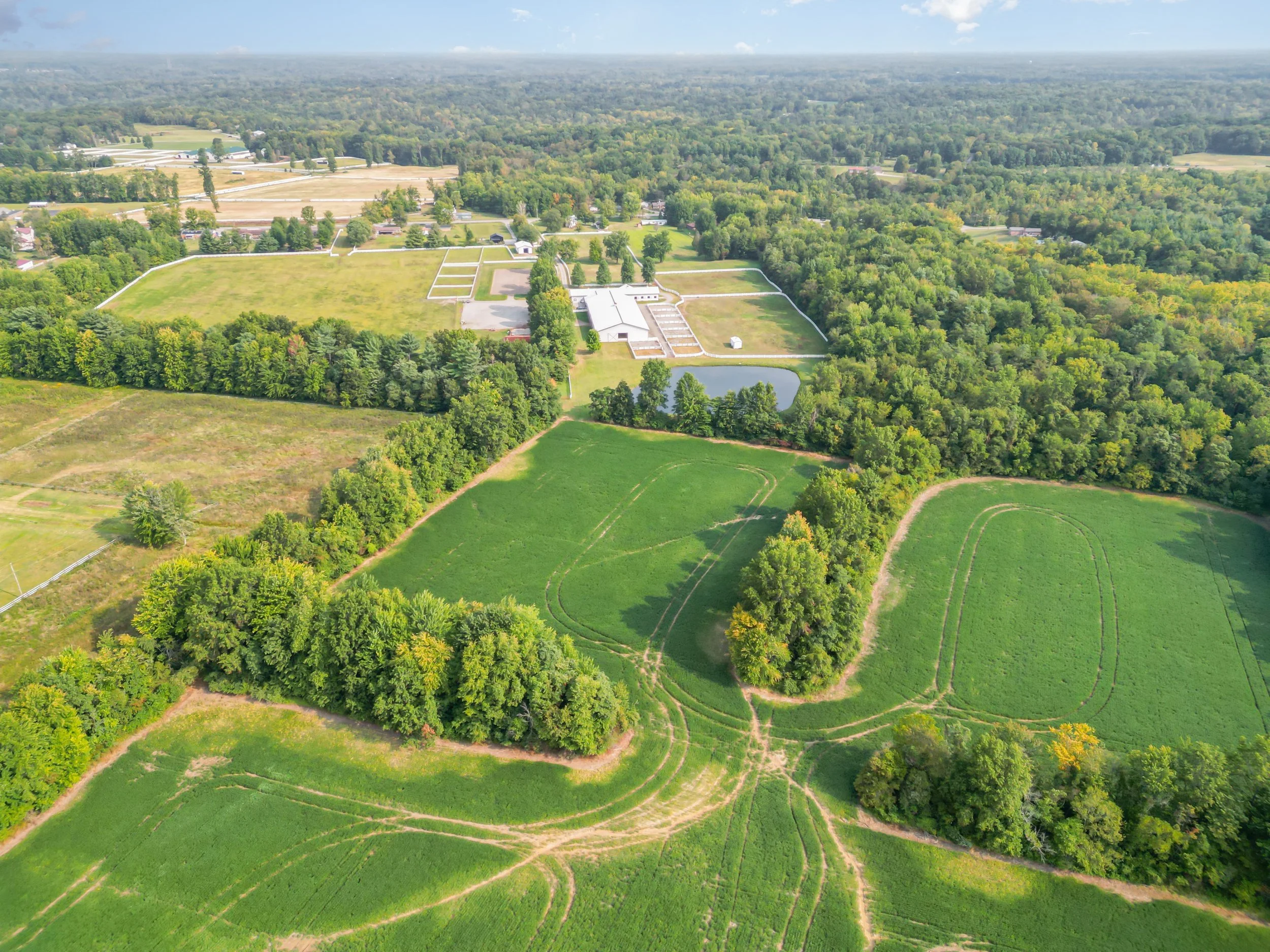 DJI_0892-Edit.jpg