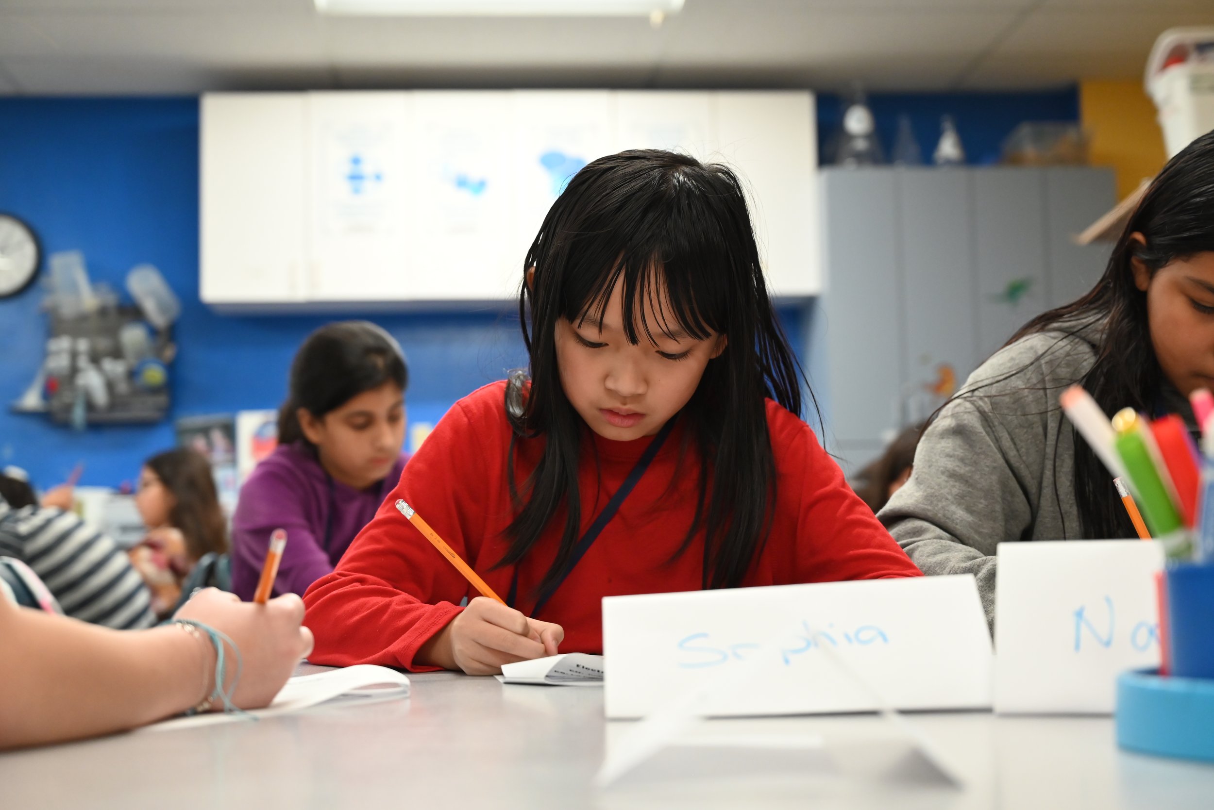 Program Evaluation — School In The Park