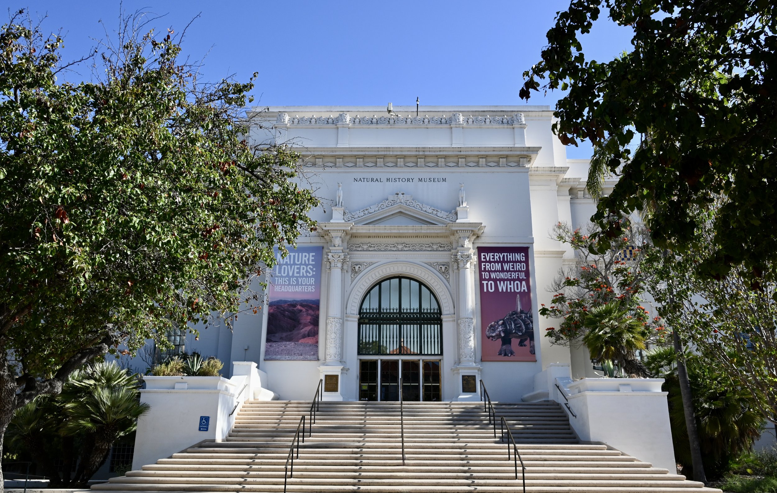 Natural History
