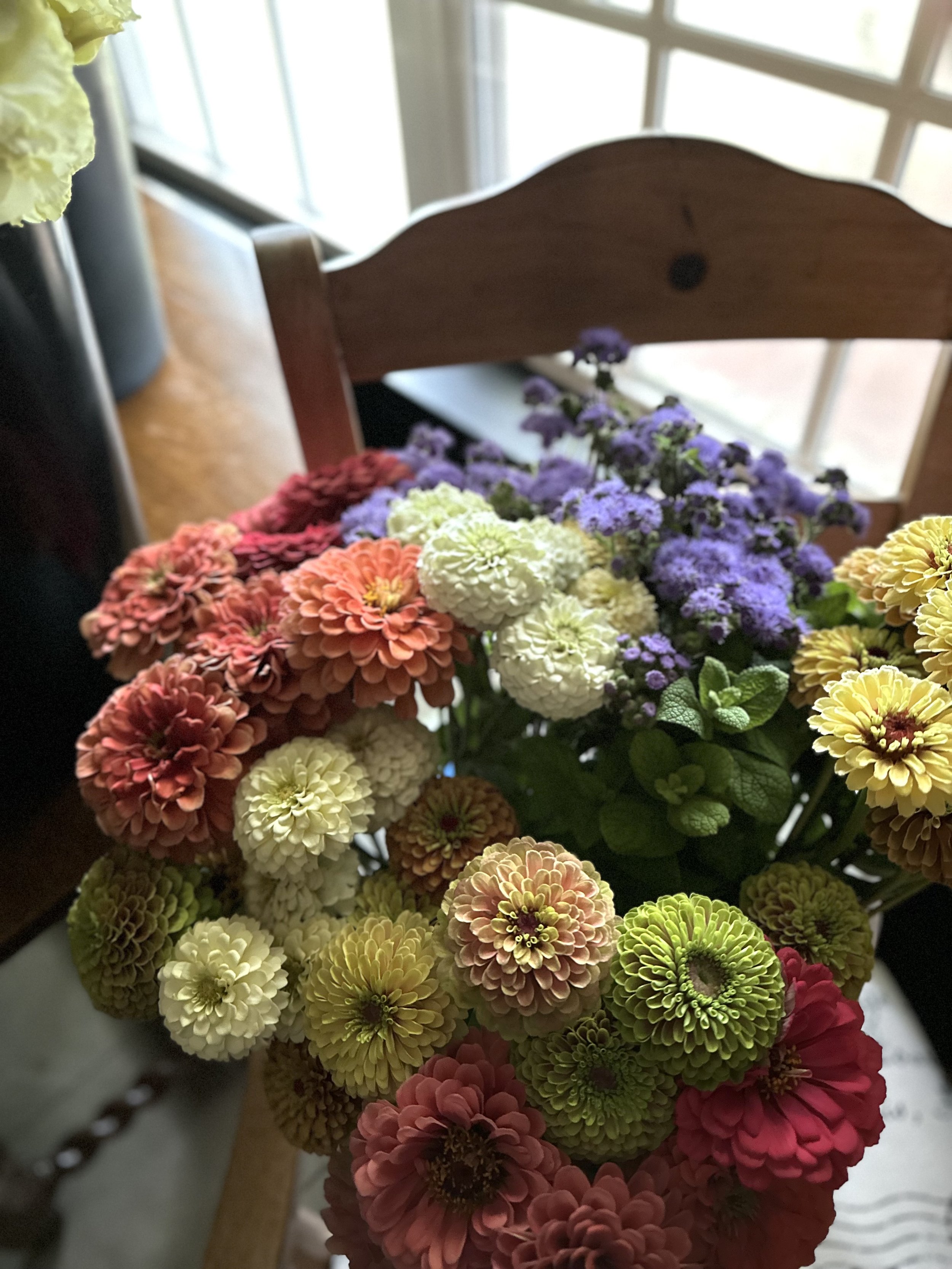 IMG_9158.jpeg