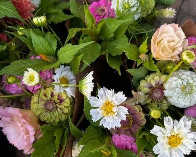 2025 5-Week Summer CSA Subscription