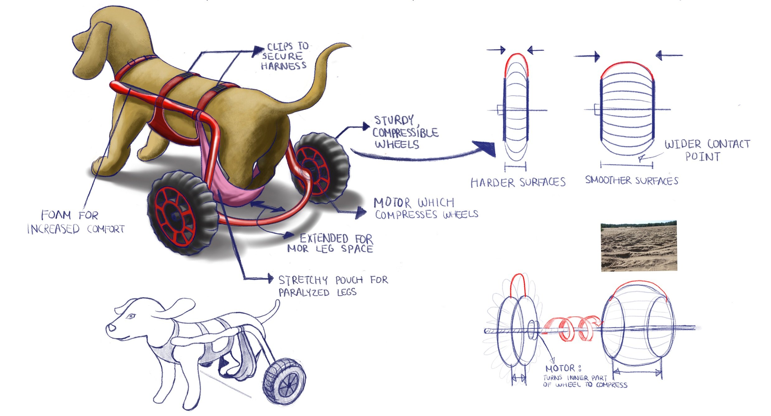Using Procreate, I digitally sketched the different components of the prosthetic, as well as explained the compressible wheel mechanism which mainly sets my design apart.