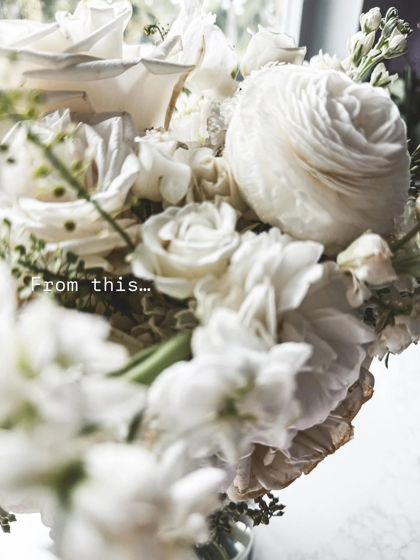 The one for Michelle.

White roses and ranunculus with soft greenery, resting on linen and framed in walnut&hellip; the kind of piece that makes a space feel warm and lived in.🤍🤎

Inquire through the link in bio to reserve your date.
.
.
flower pre