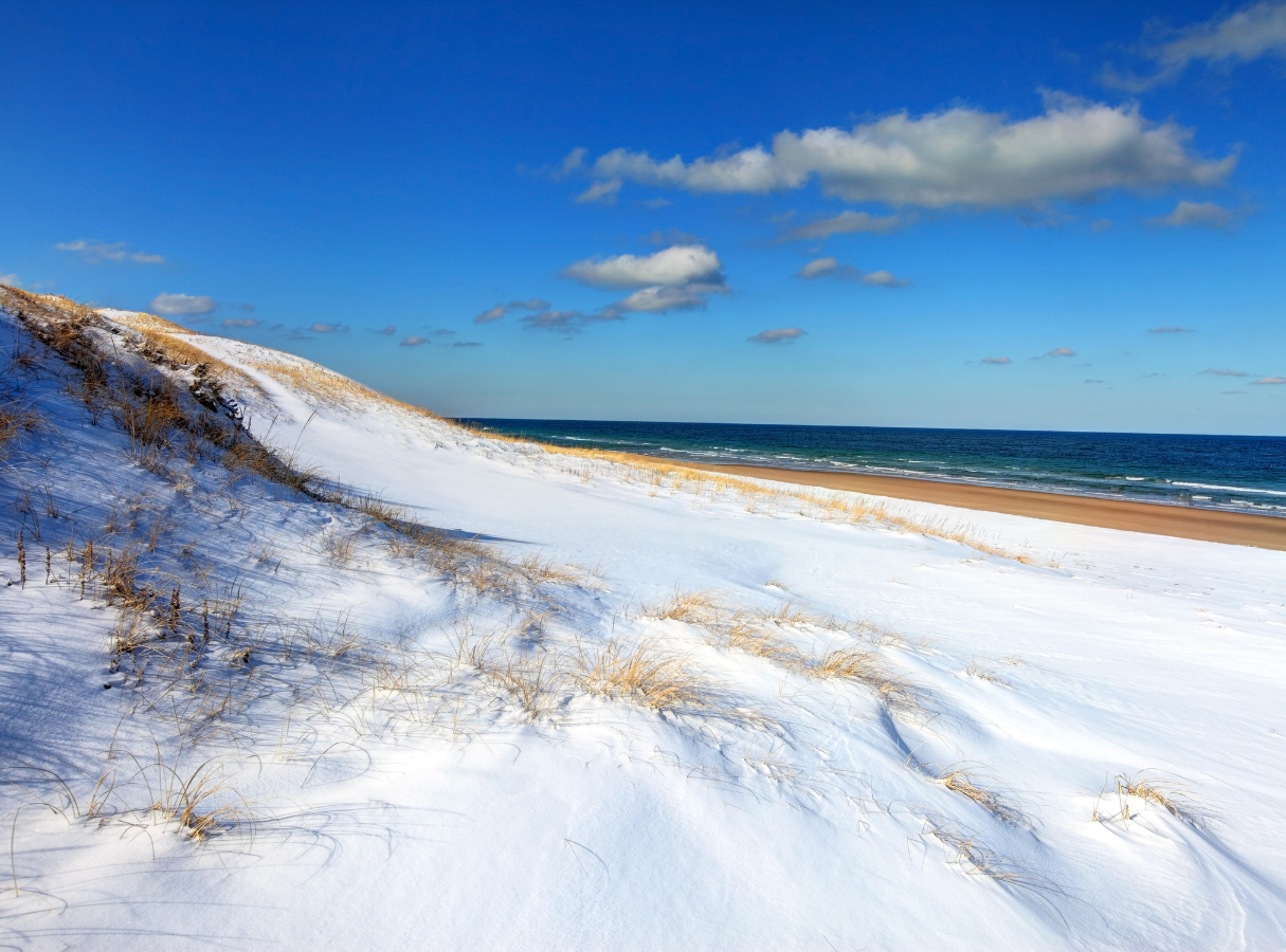Provincetown Real Estate Market Update: January 2026
