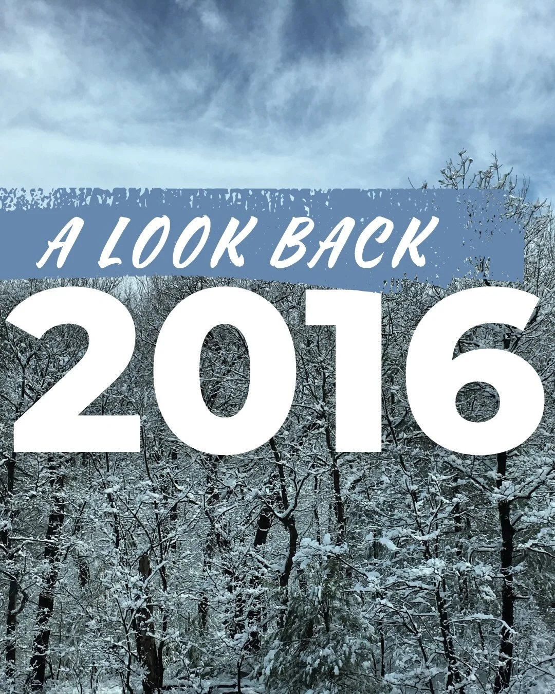 ‼️ TW PET LOSS ‼️

I wasn&rsquo;t going to do this at first. Looking back at photos from 2016 was really hard for me, especially seeing my dog who passed away a few years ago. I still cry whenever I see Duke, and my camera roll was full of him.

Besi