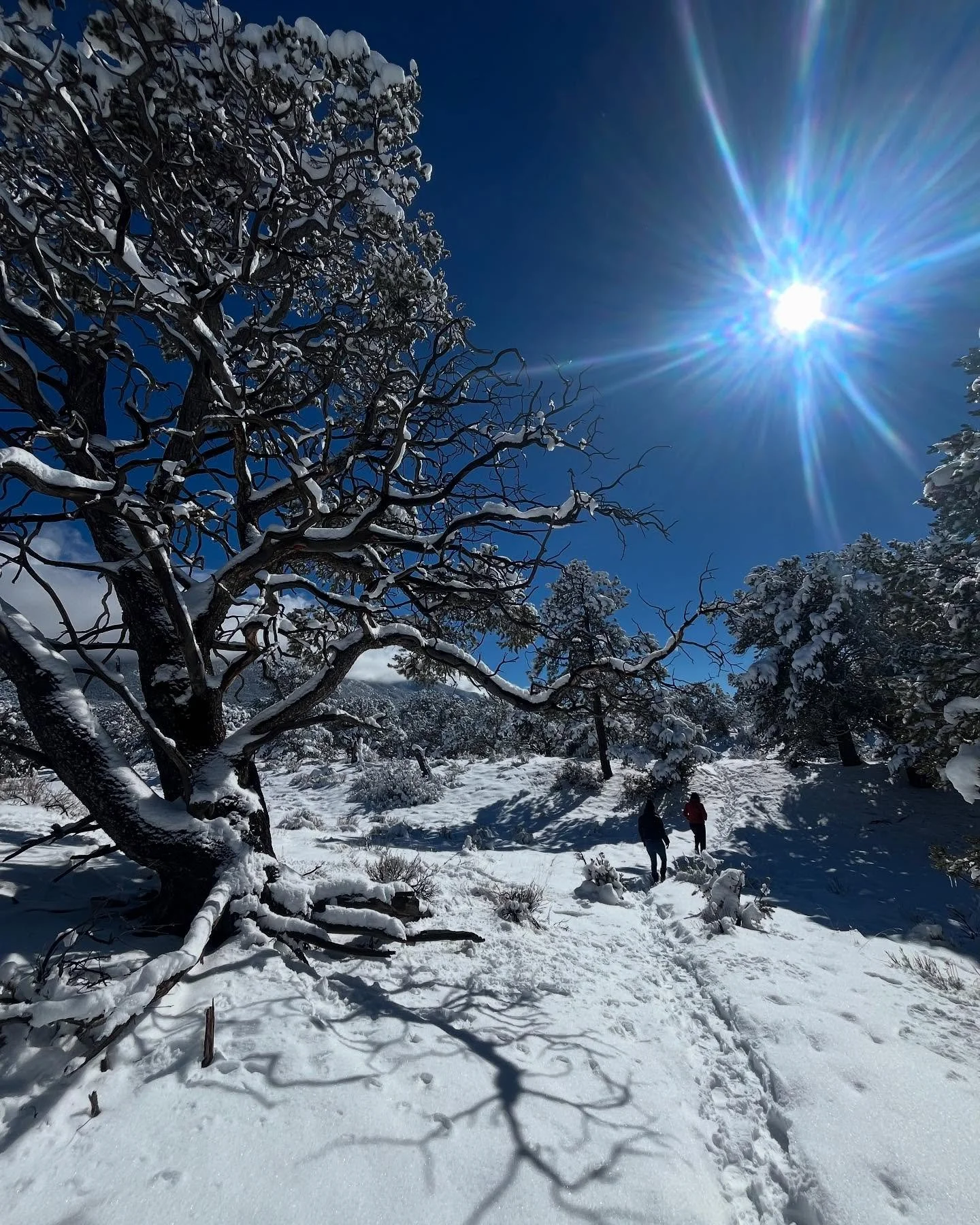 2024 was the year of FRIENDS. I traveled constantly to see my friends and spent four months living in friends&rsquo; guest rooms while we renovated our house. We took 16 friends and family to Greece. There were a bunch of milestone birthdays and I ce