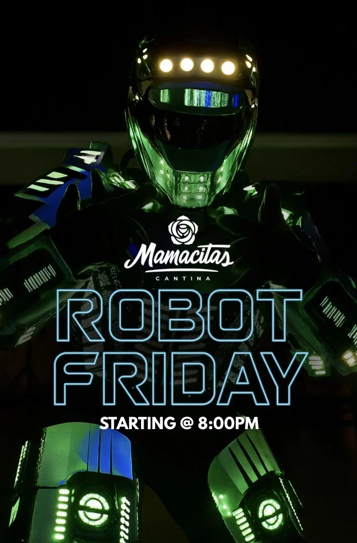 Robot Friday