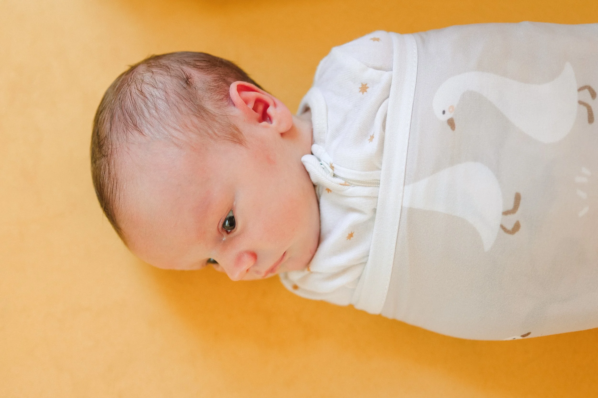 Kara Moser Newborn_Brea Photography-23.jpg