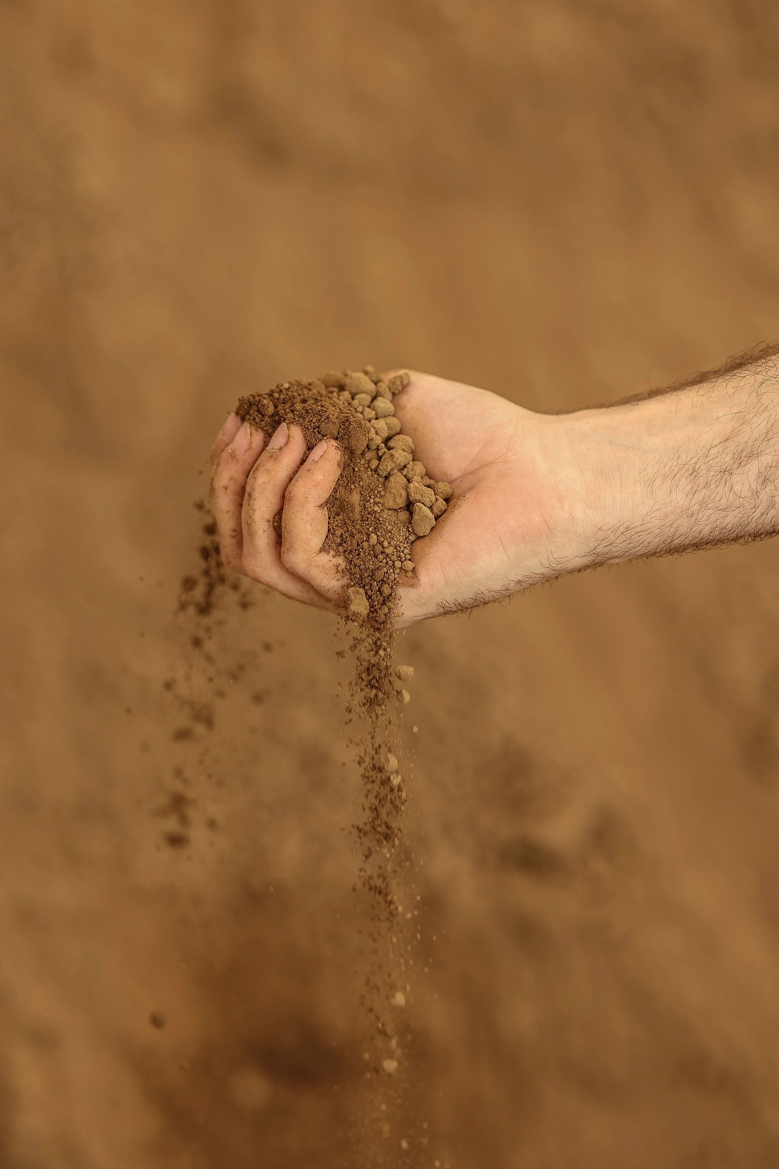 STL Top Soil-024.jpg