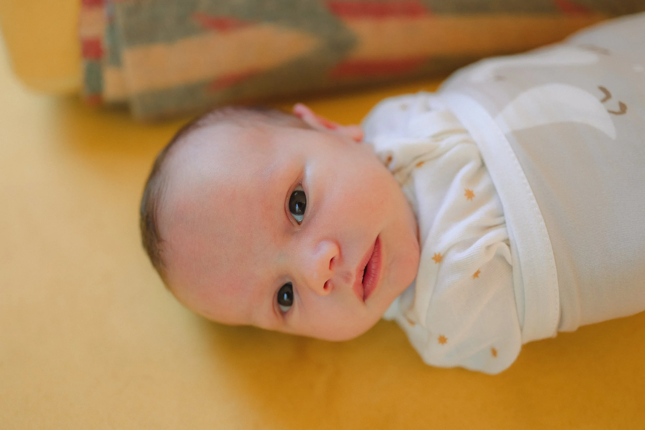 Kara Moser Newborn_Brea Photography-27.jpg