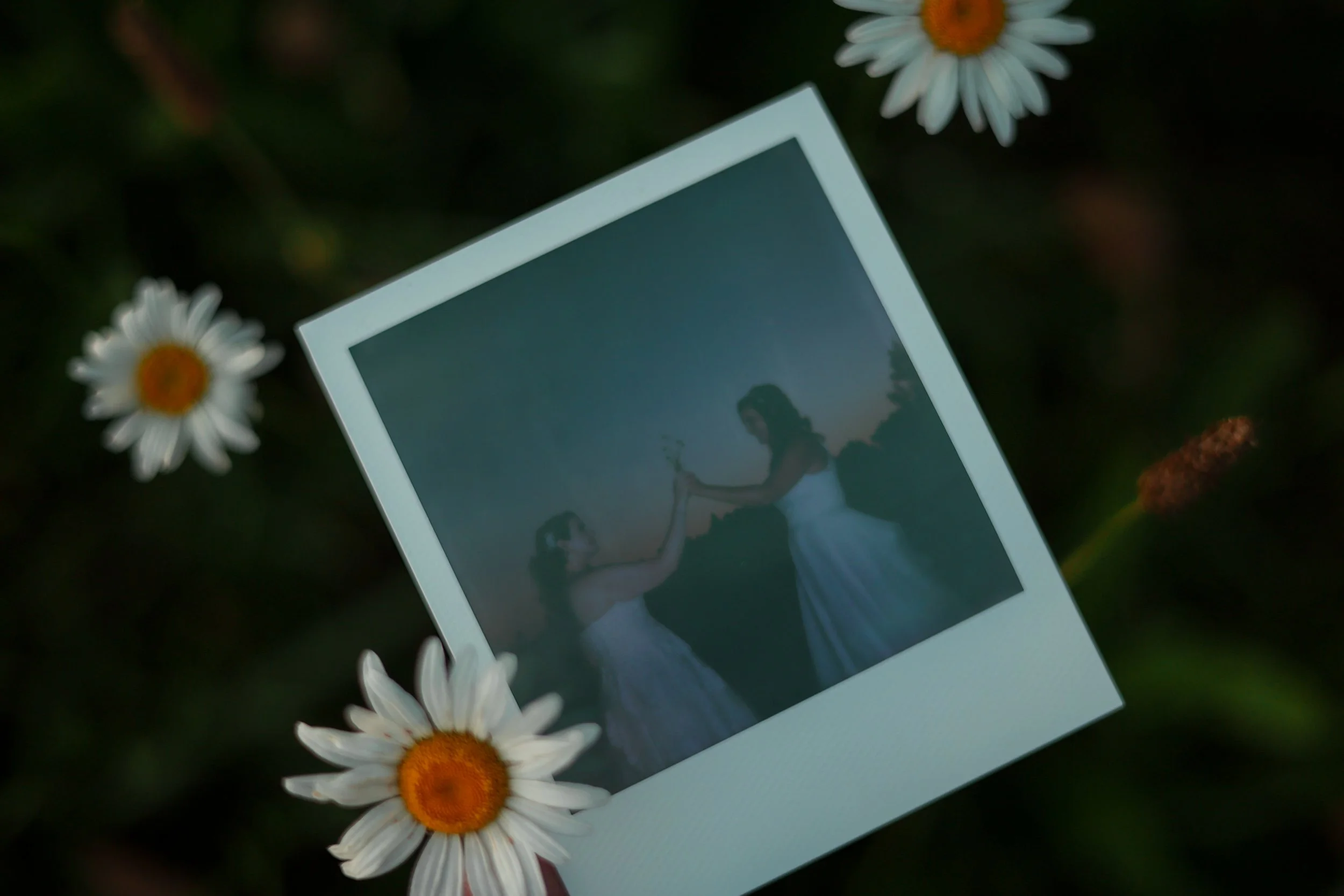 Jessica + Paige Wedding-591.jpg