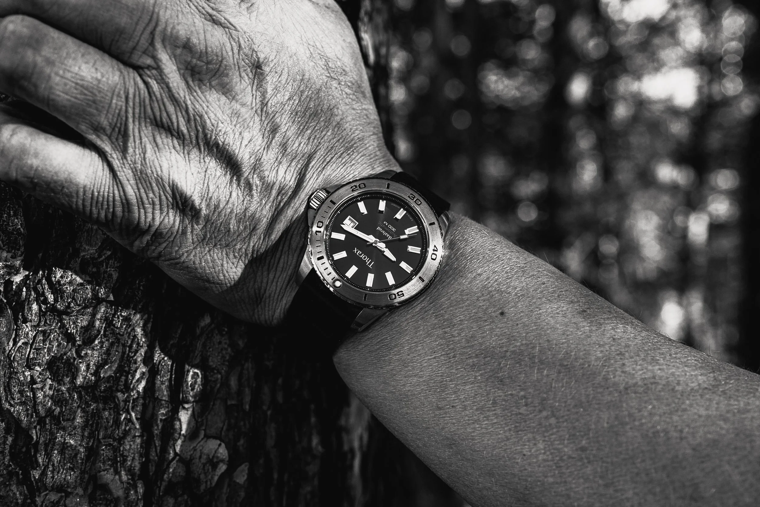 Jim Pettersen Media-8.JPG