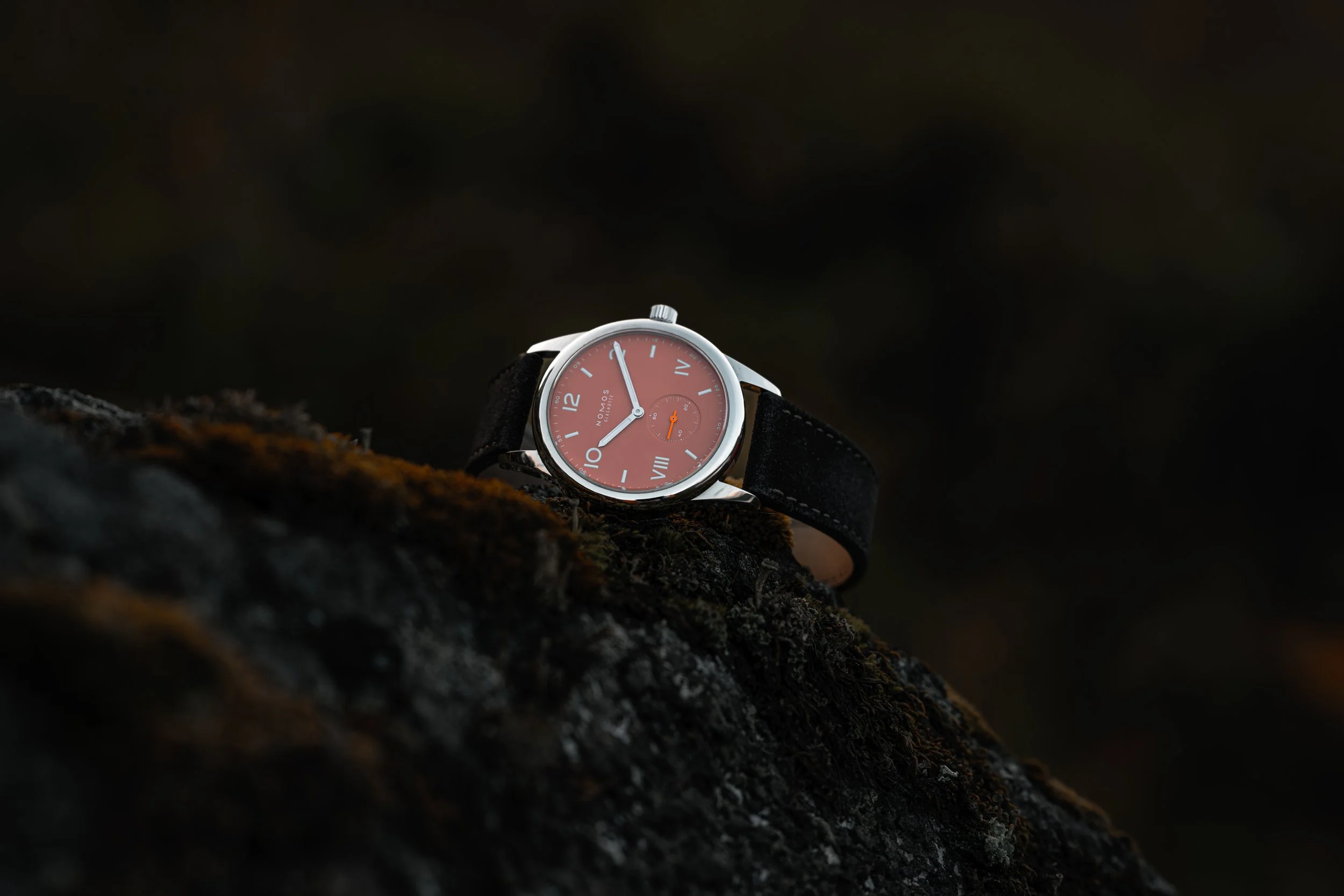 Jim Pettersen Visuals-107155.jpg