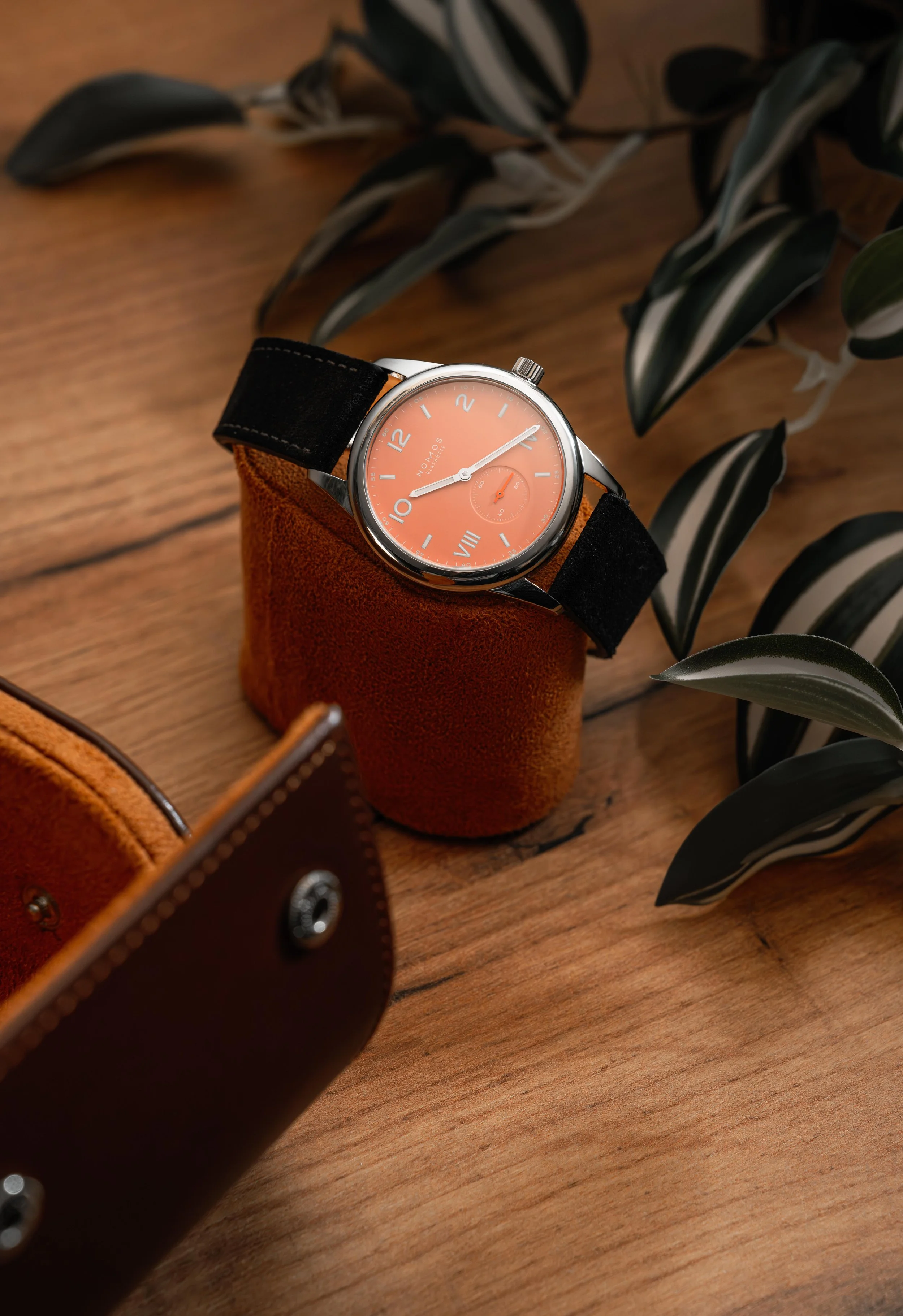 Jim Pettersen Visuals-1.jpg