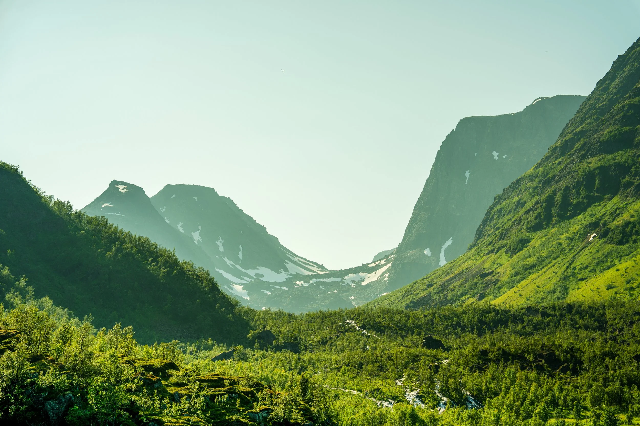 Jim Pettersen Media-06031.JPG