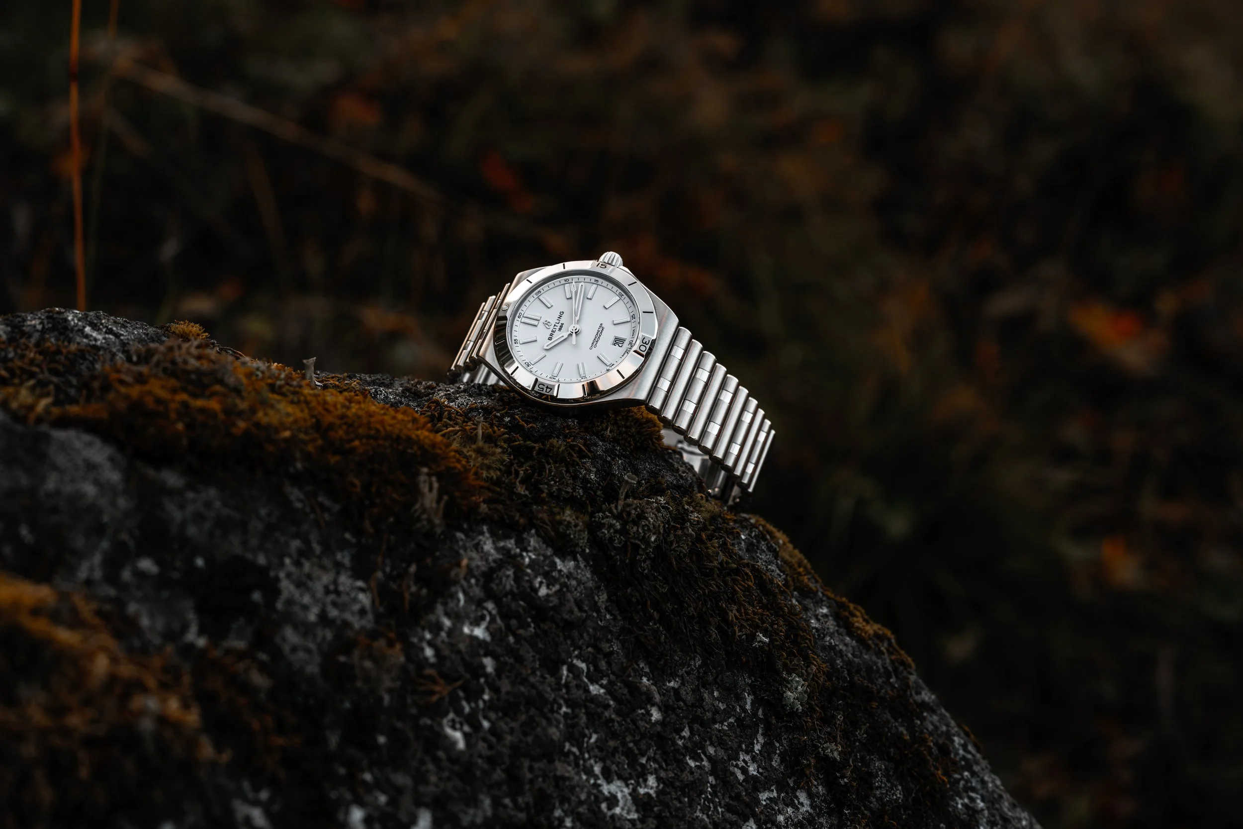 Jim Pettersen Visuals-107002.jpg