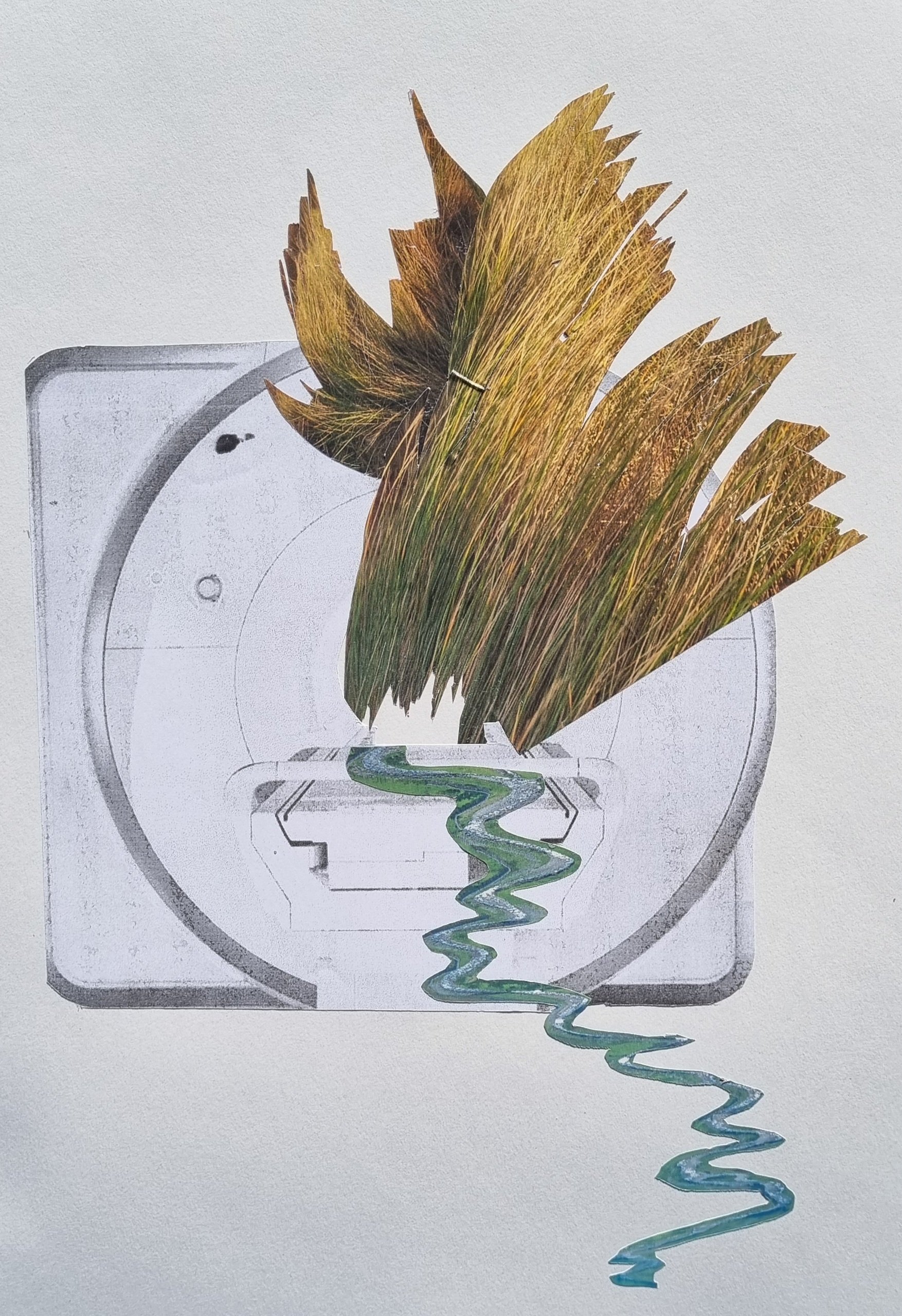 scanner grass.jpg