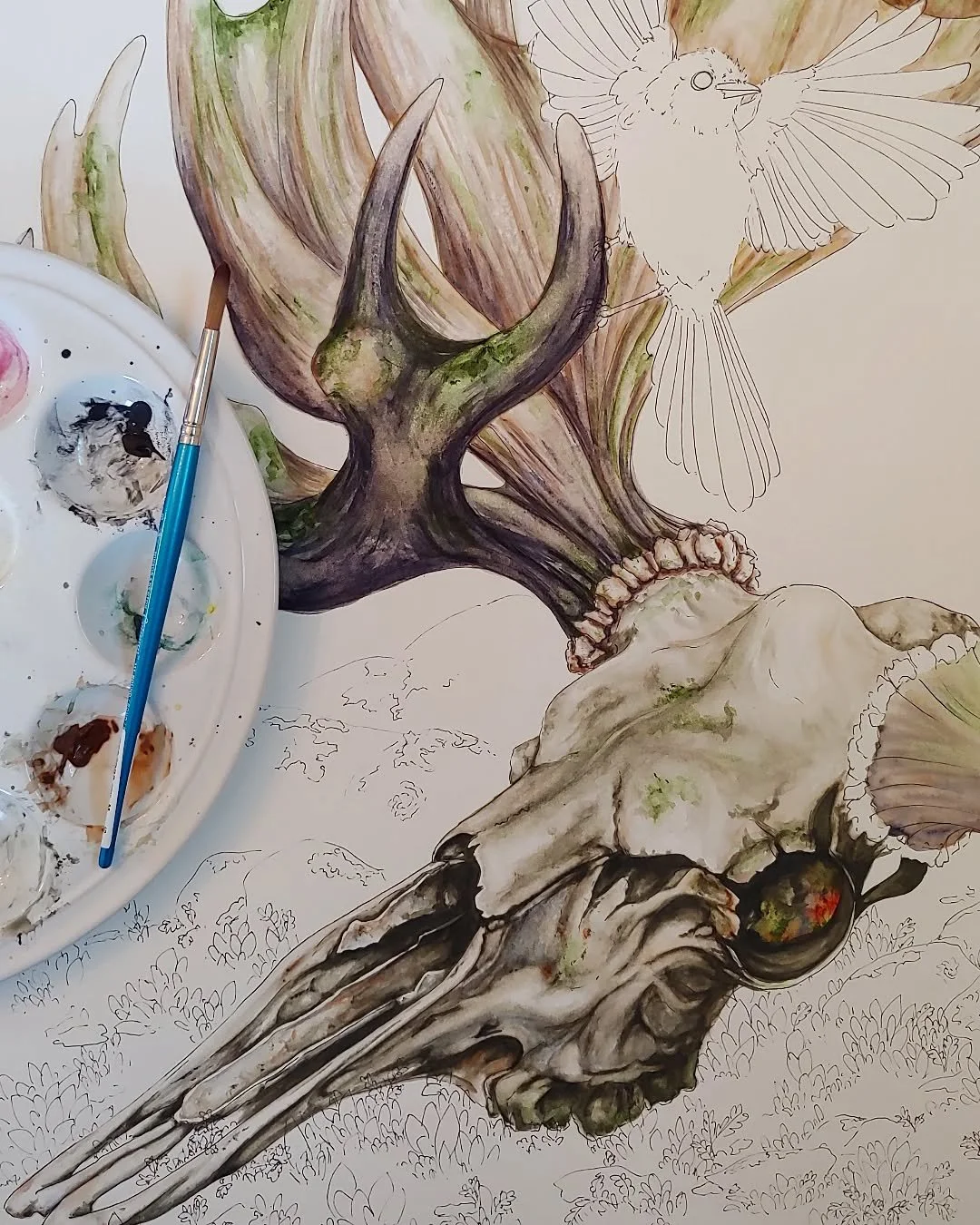 **obsessed** 😍😍 

#scicomm #ecology #macabreart #moose #skull #biology #scienceart #witchcore #witchyvibes