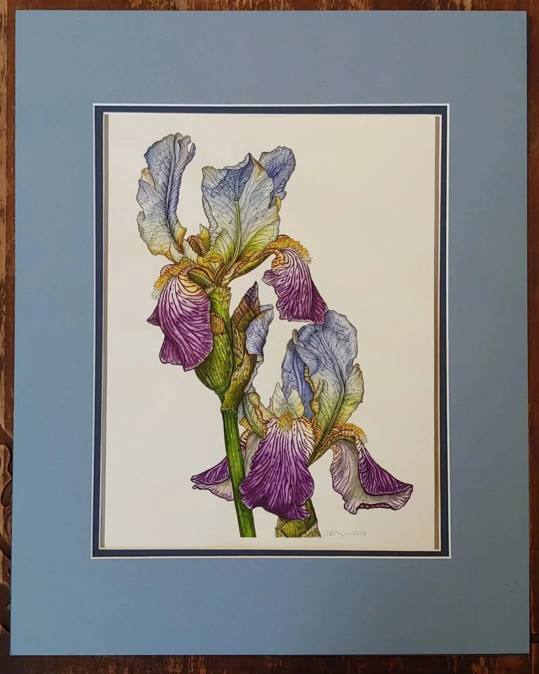 Framing dilemma, which is your favourite? Option 1, 2, or 3??