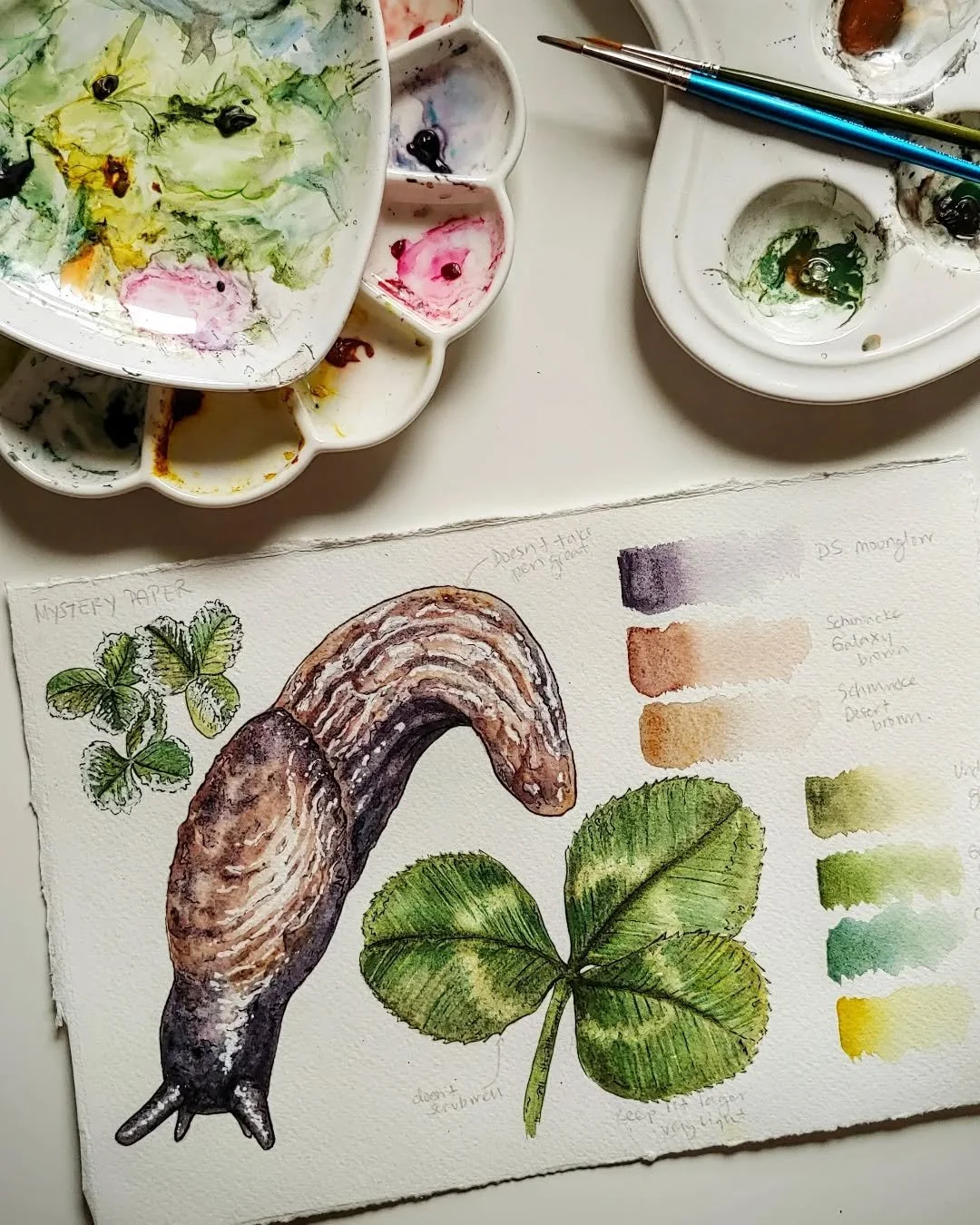 I like to think I have a pretty strong stomach, but slugs are one of the few critters that just give me the ick. 

That and butterflies (don't get me started). 🦋🦋

#scienceart #scicomm #biology #molluscs #slugsandsnails #gardenfriend