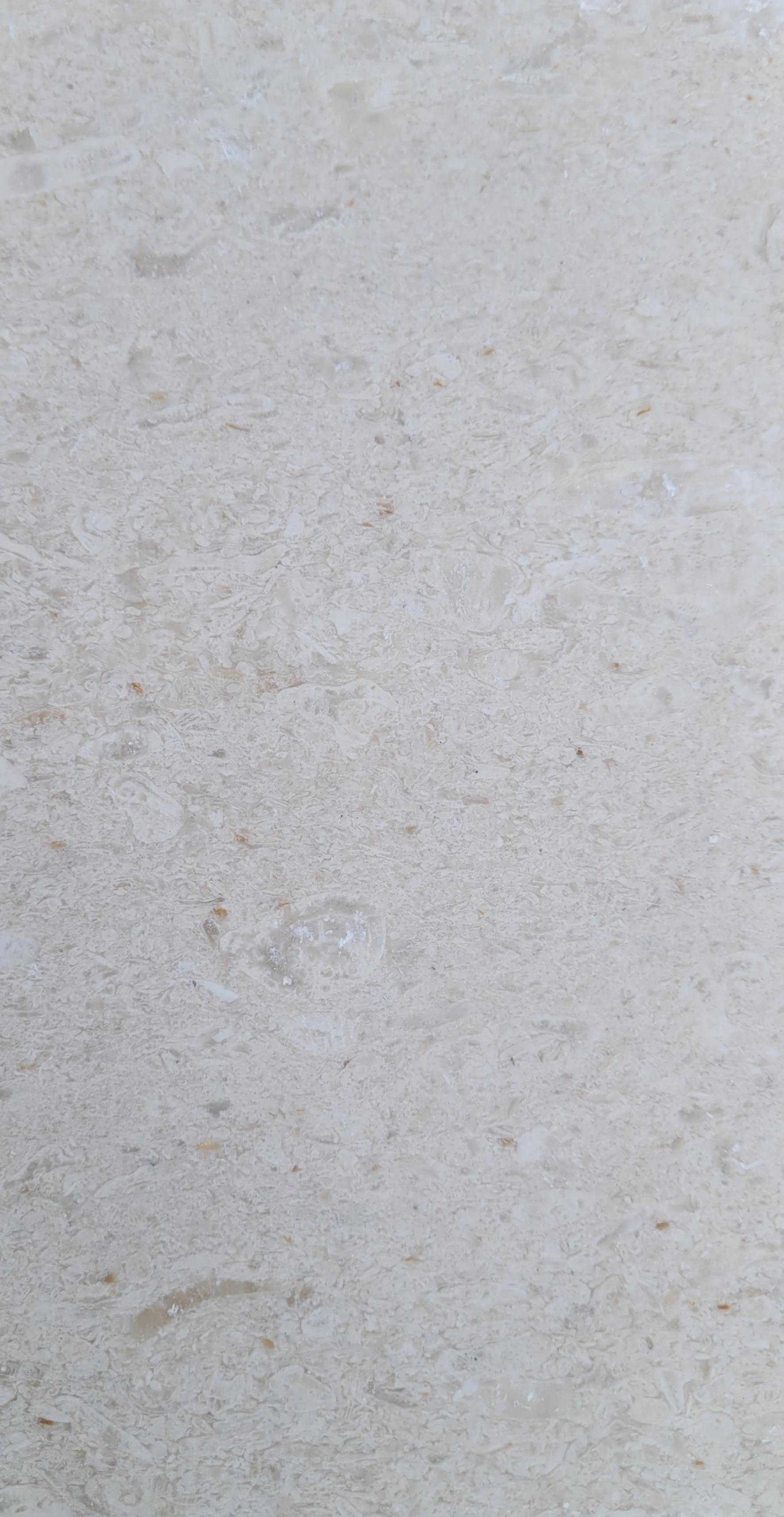 FL37 Perle Blanc Light
