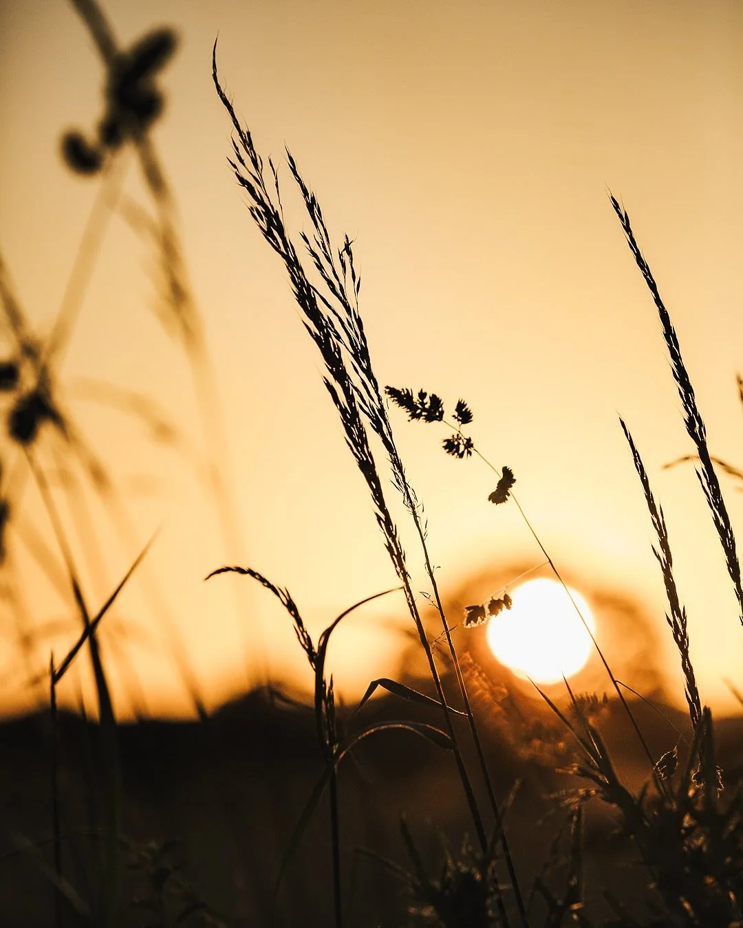 Meteorological spring is finally here, bring on those longer nights ππΌ
#goldenhour #sunset #springday #longernights #golden #eveninghike