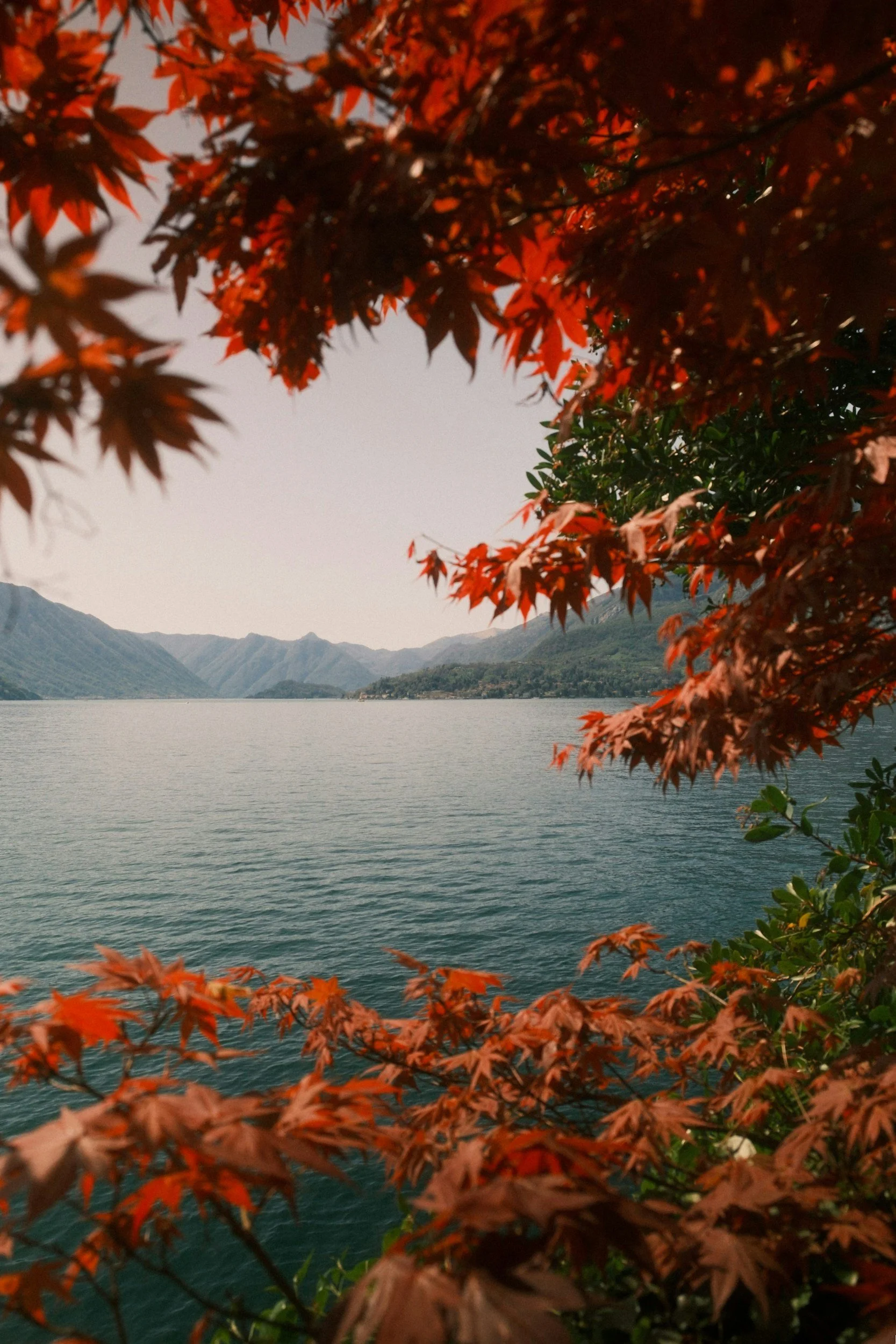 Red and green autumn leaves framing a peaceful lake with mountains in the background.