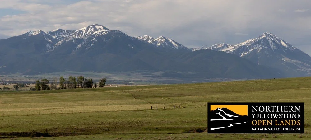 GVLT’s Northern Yellowstone Open Lands Remains Nimble in Face of $25 Million Funding Loss