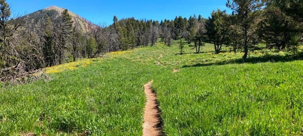 Final Piece of the Bridger Ridge Trail Secured for the Public