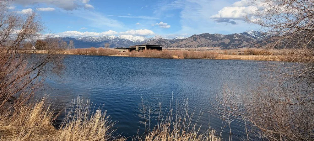 On the Trail With Dayle: Seeing the Unexpected on Local trails